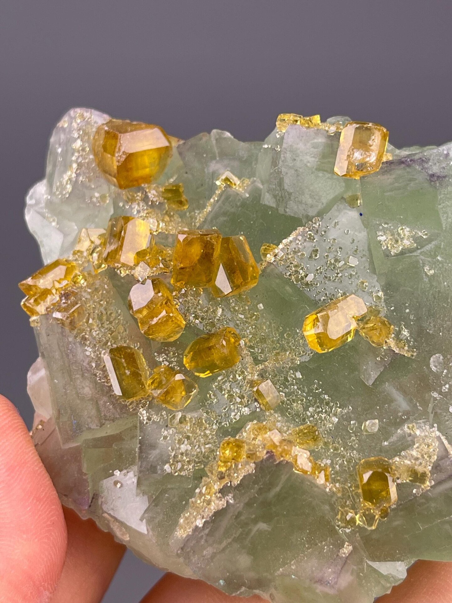 Close-up of yellow tabular barite crystals showing vitreous luster