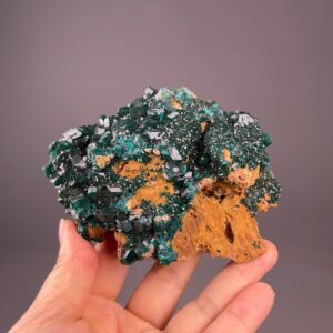 Congo Dioptase Cluster - Vibrant Green Druzy - Limonite Matrix - Natural Beauty