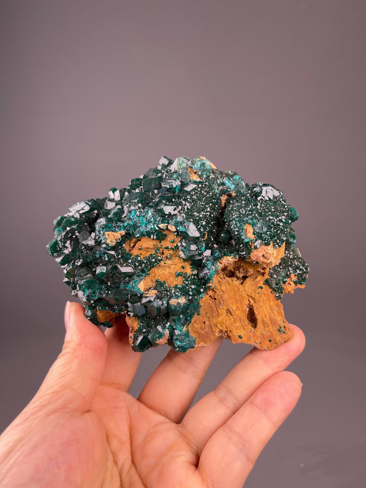 Dioptase Cluster on Limonite Matrix – Congo, DRC