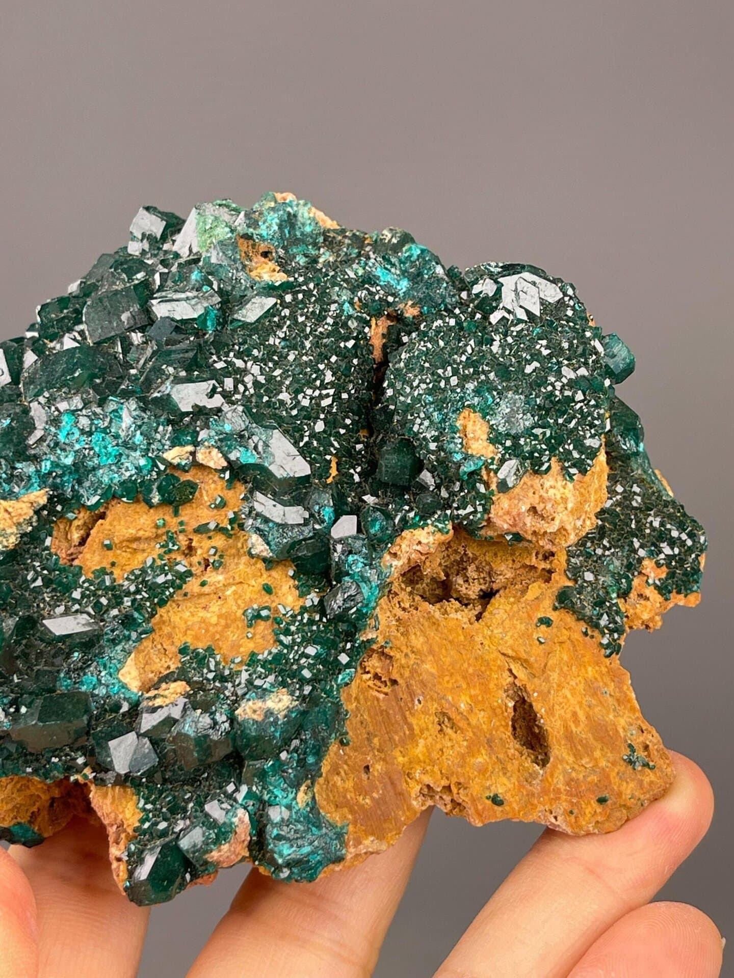 Top view of dioptase covering limonite matrix
