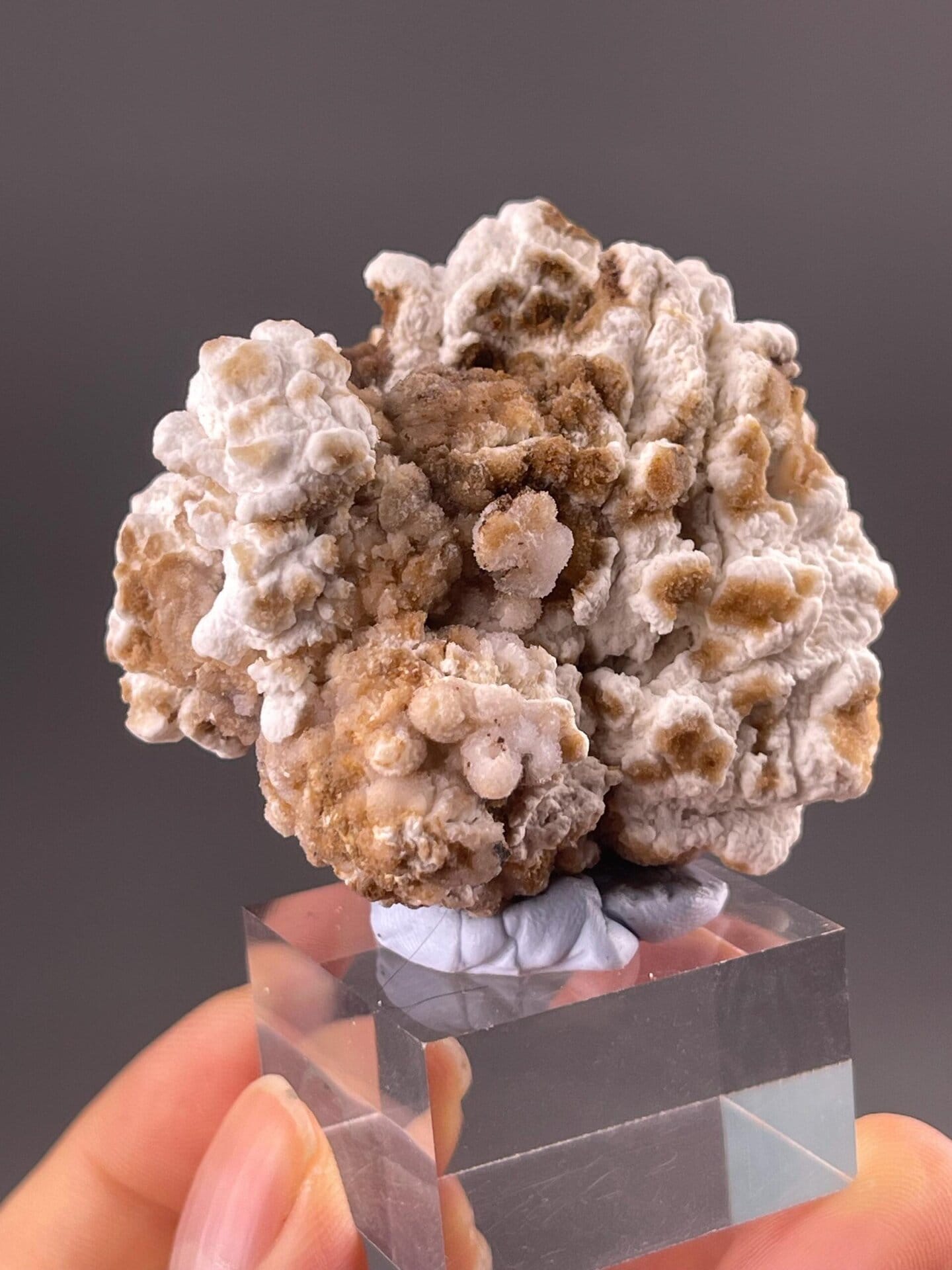 Close-up of gypsum spherical popcorn habit from Guizhou