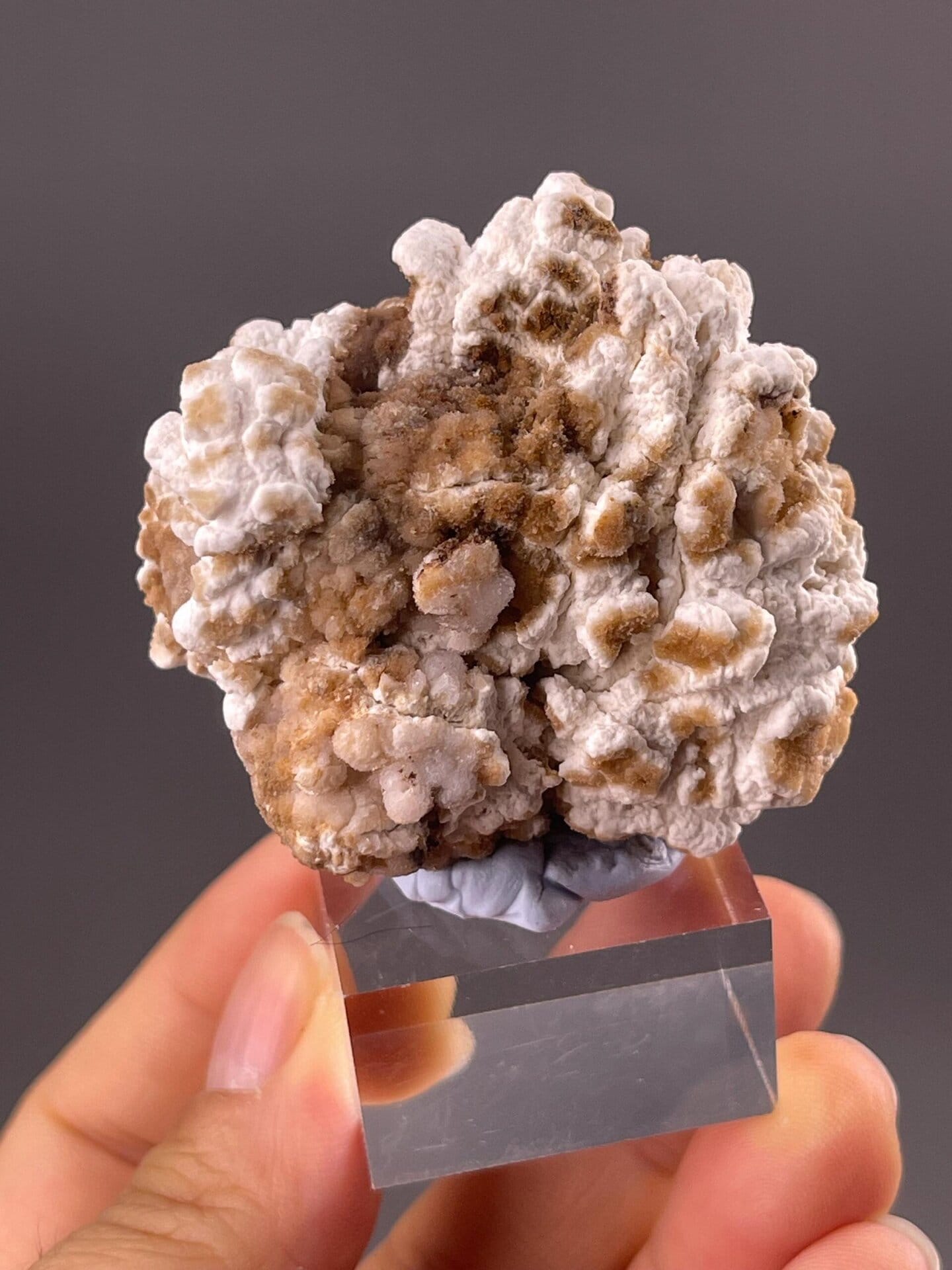 Dense brown spherical gypsum clusters on matrix