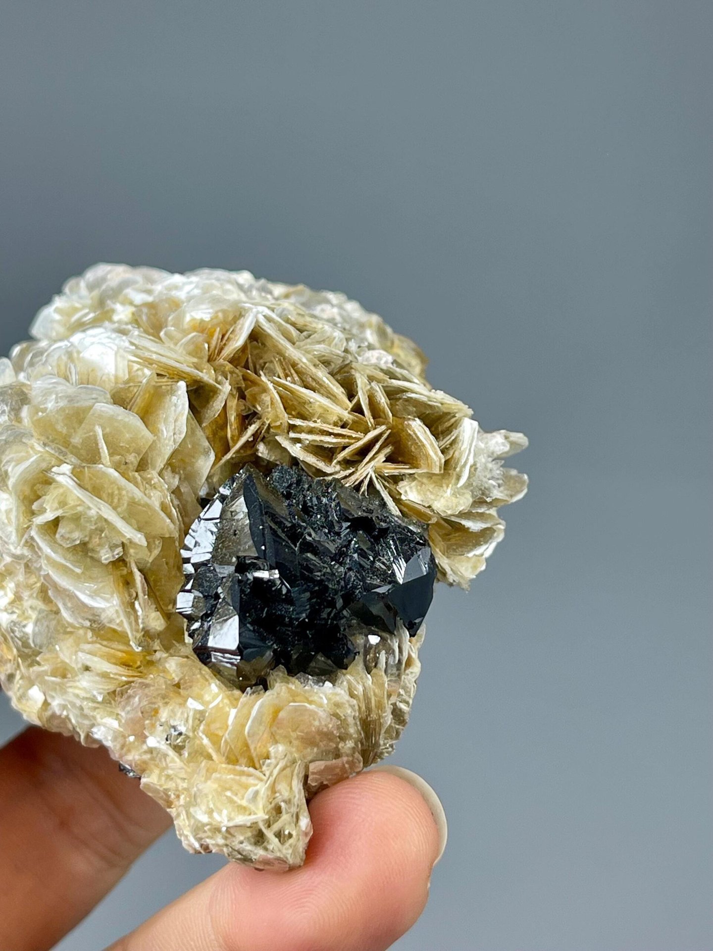 Cassiterite on muscovite mica from Xuebaoding, Sichuan