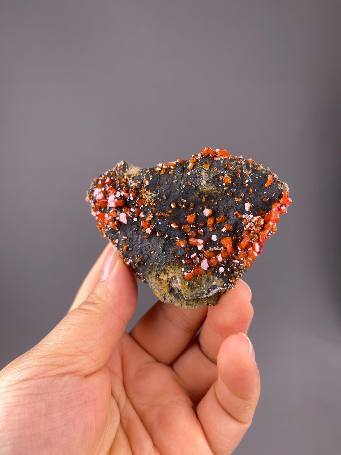 Hexagonal vanadinite prisms on black barite-rich matrix