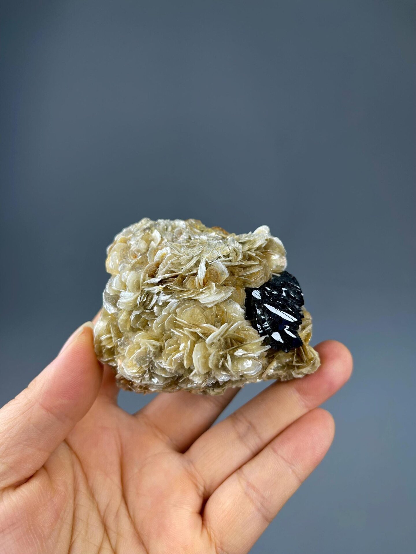 Side view of cassiterite mica specimen, Xuebaoding mine