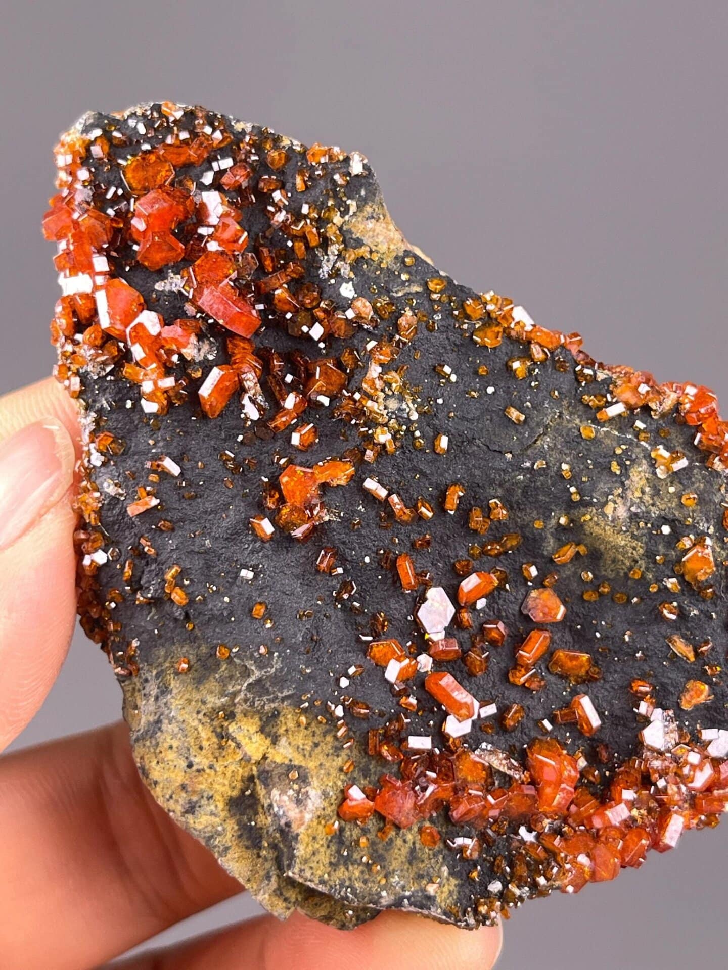 Vanadinite Pb5VO4Cl hexagonal on black barite, Morocco