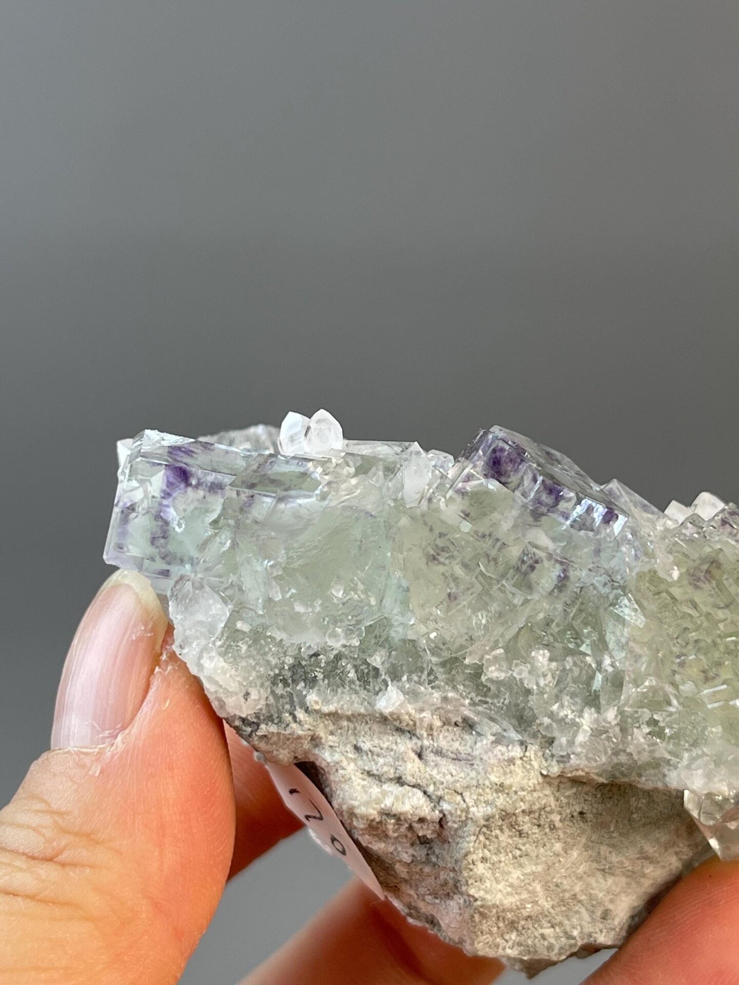 Glassy cubic fluorite with captivating color variation