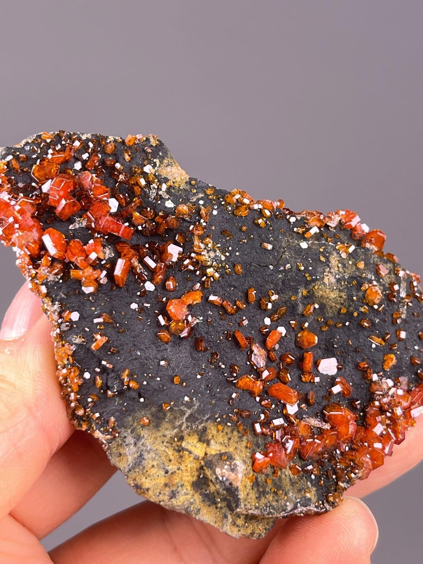 Large red vanadinite crystals distributed on dark barite