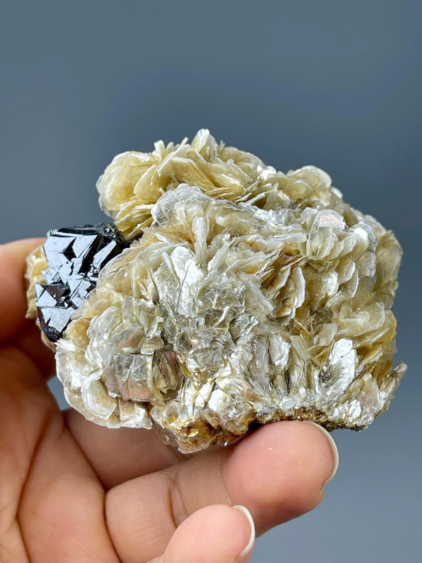 Scale view of 2.6x1.6x1.5 in cassiterite mica specimen