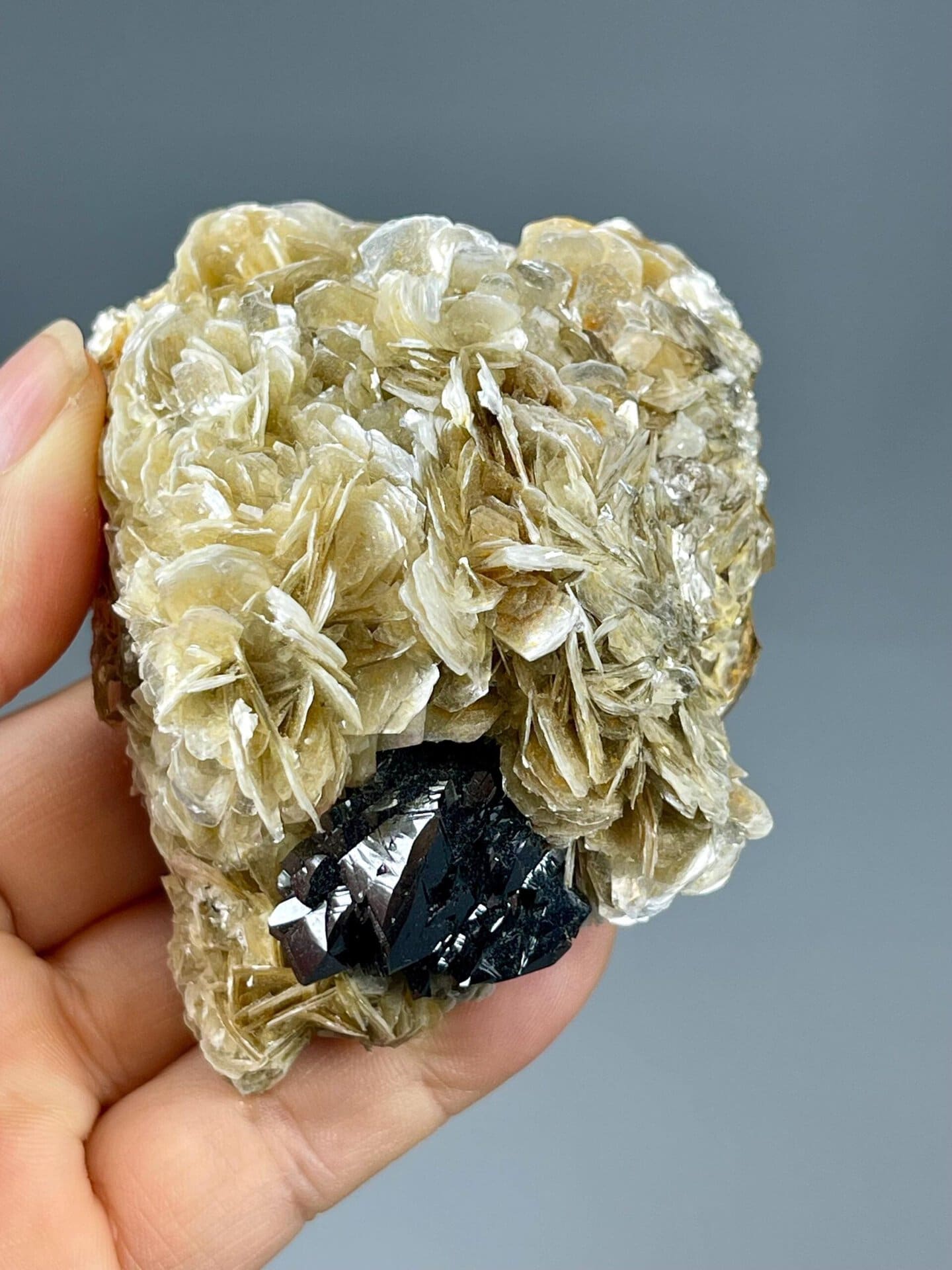 Top view of cassiterite on muscovite mica, Xuebaoding