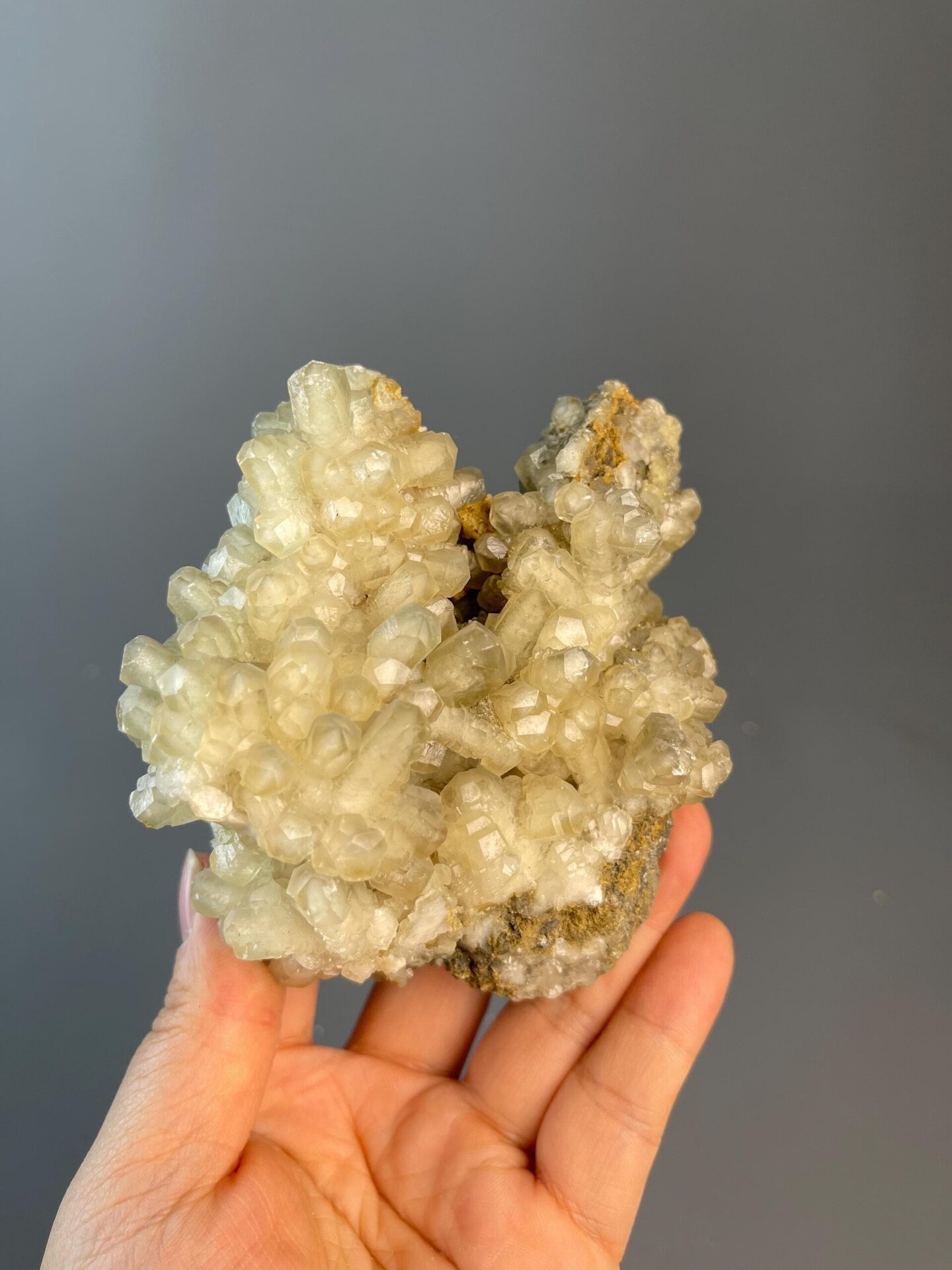 Golden calcite column showing full flower formation