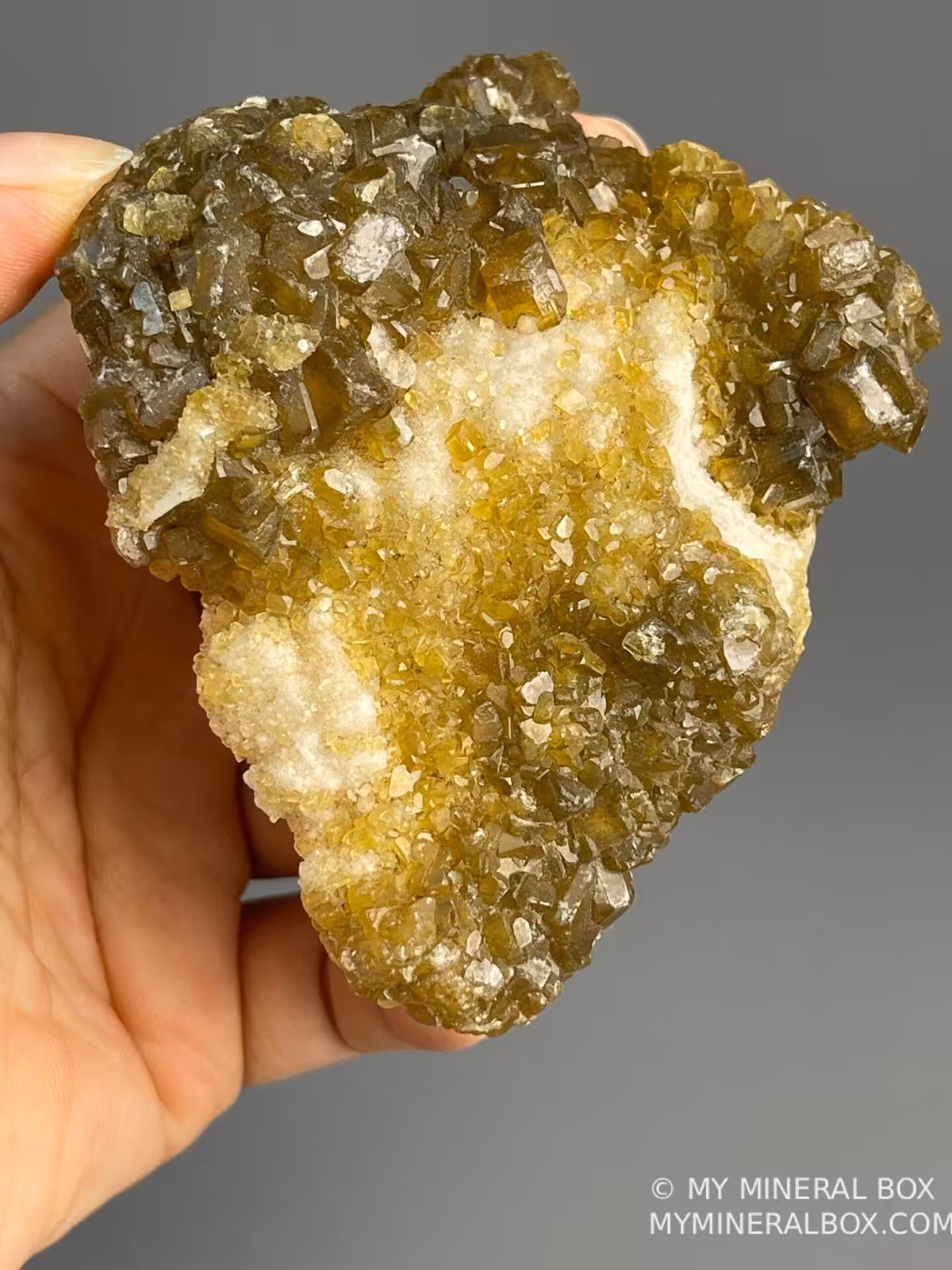 Scale view of 3.25x1.73x2.9 in golden barite calcite cluster
