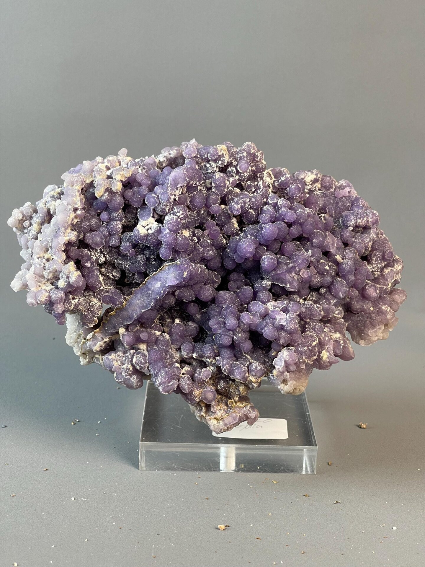 Scale view of 6.0x2.5x2.3 in large grape agate cluster