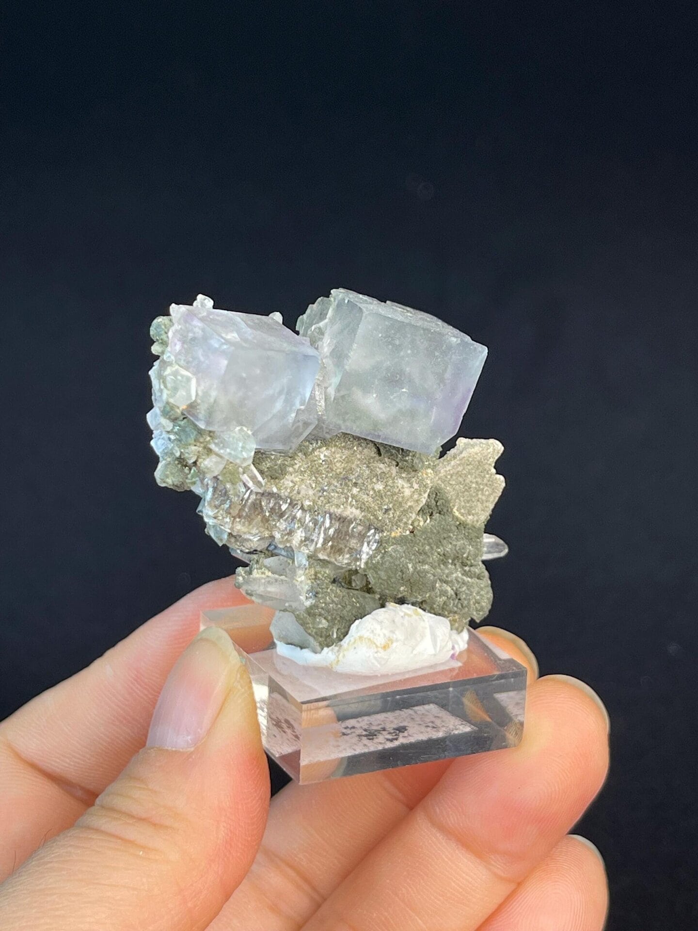 Paired fluorite cubes with blue purple zoning on green base