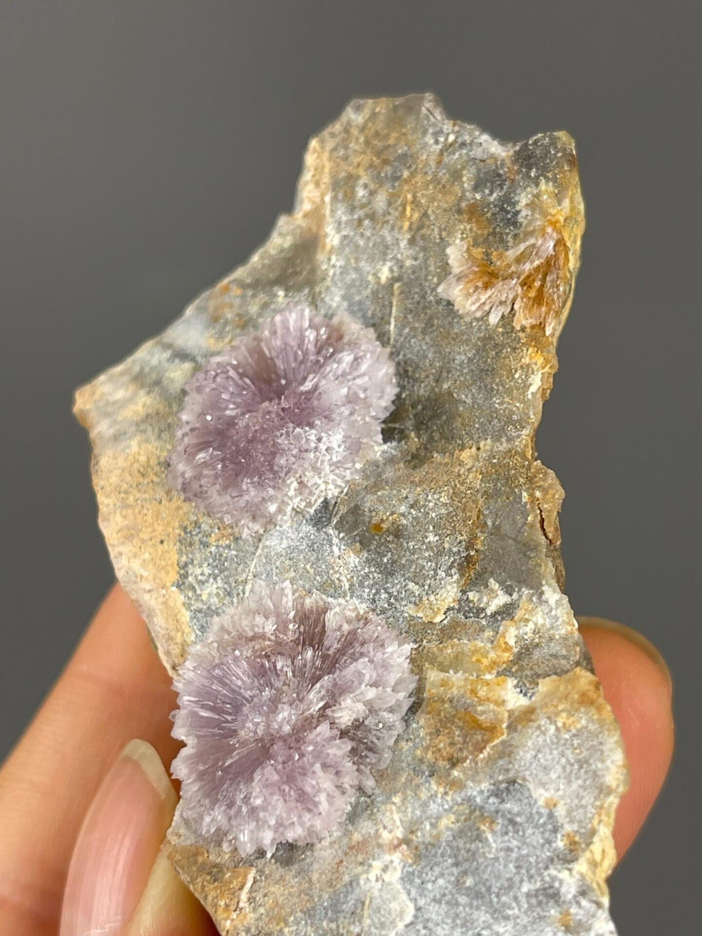Side view of flos ferri aragonite branching formation
