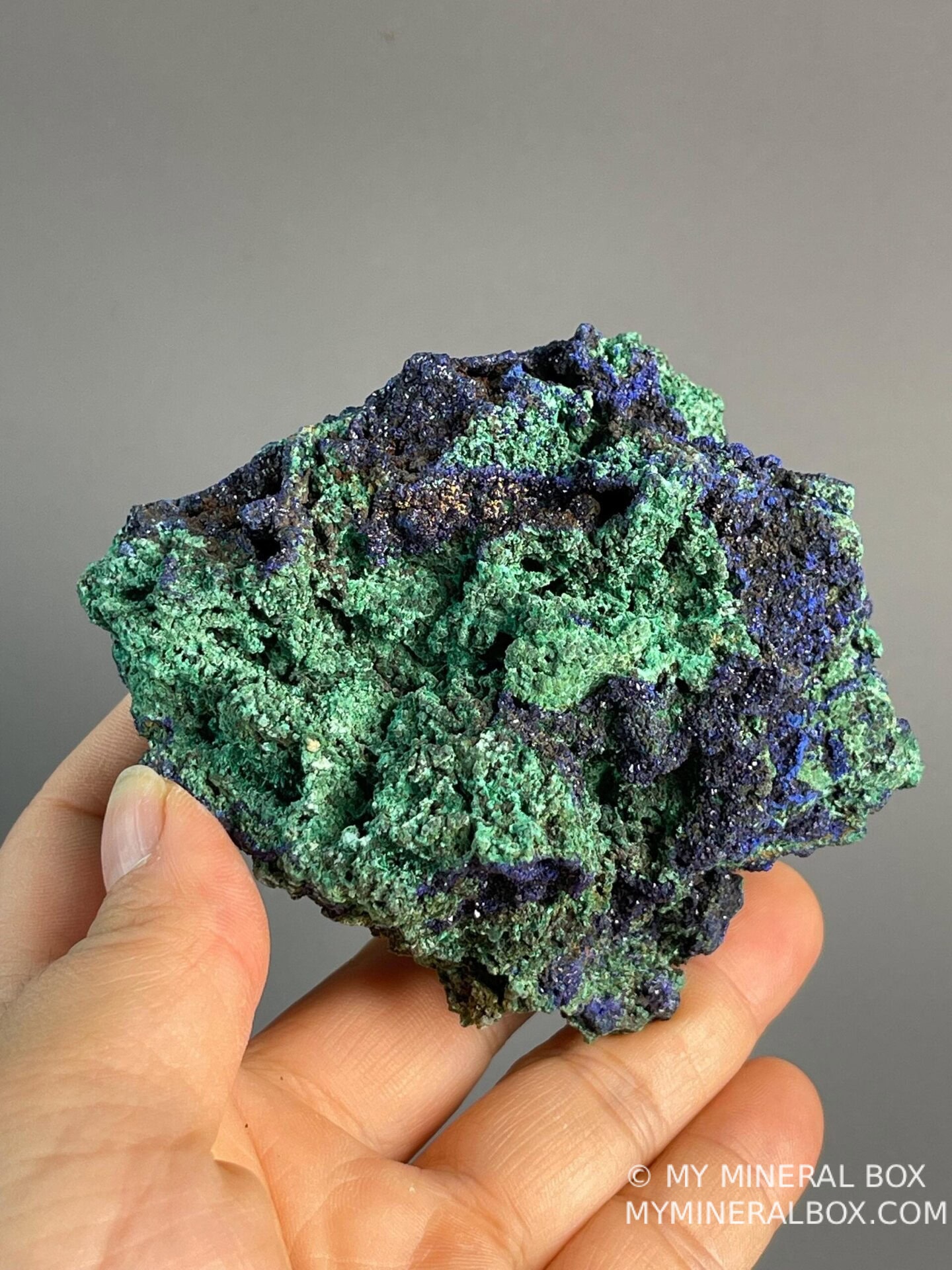 Azurite Cu3CO3OH2 monoclinic with malachite, Morocco