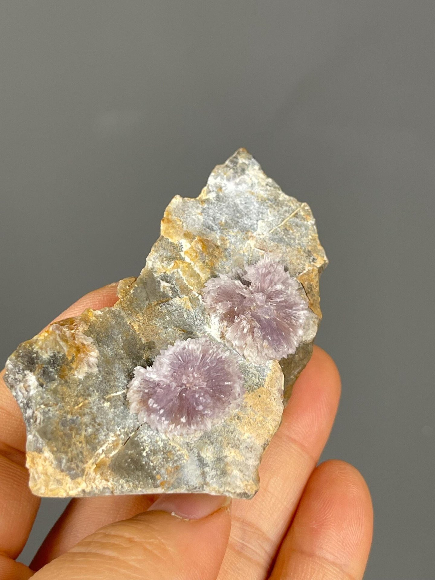 Classic flos ferri iron flower aragonite from Austrian locality