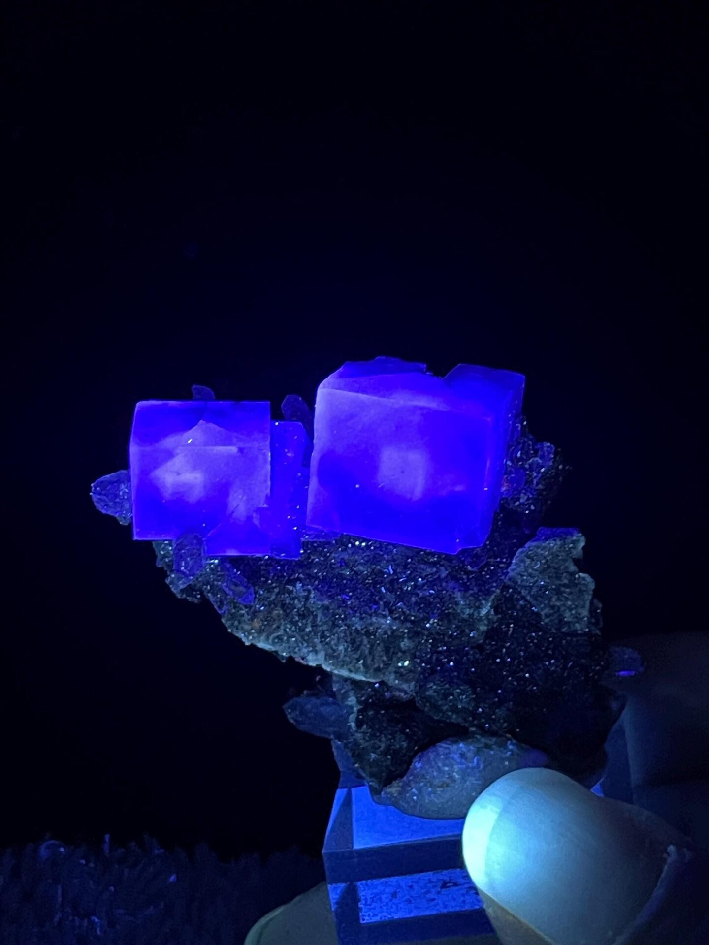Blue-purple fluorite double cube displaying vitreous luster