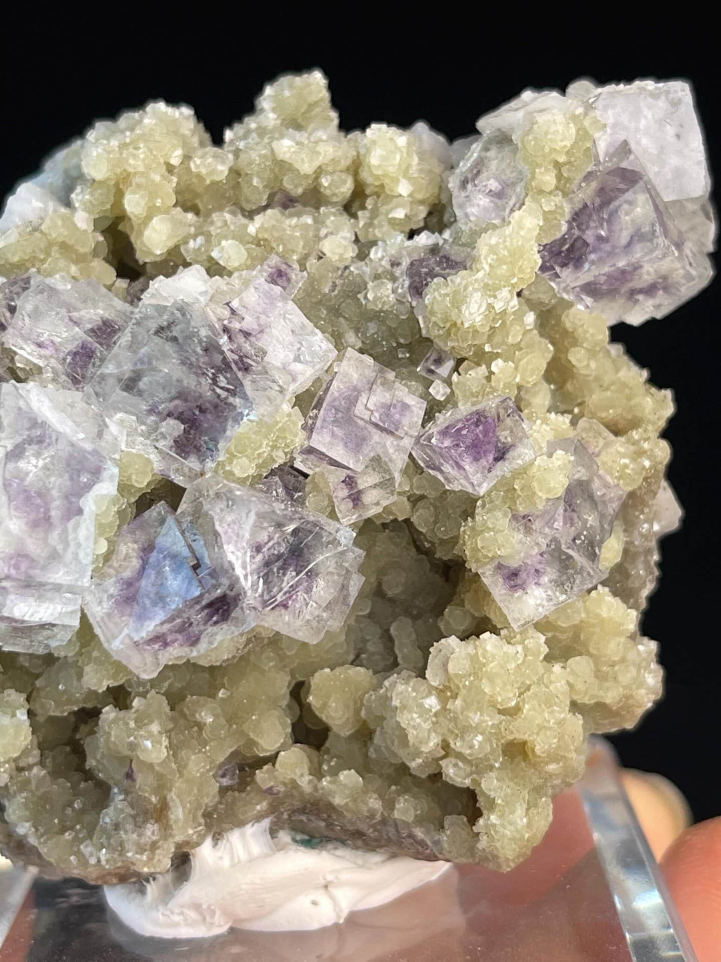 Cubic fluorite with purple phantoms on contrasting green base