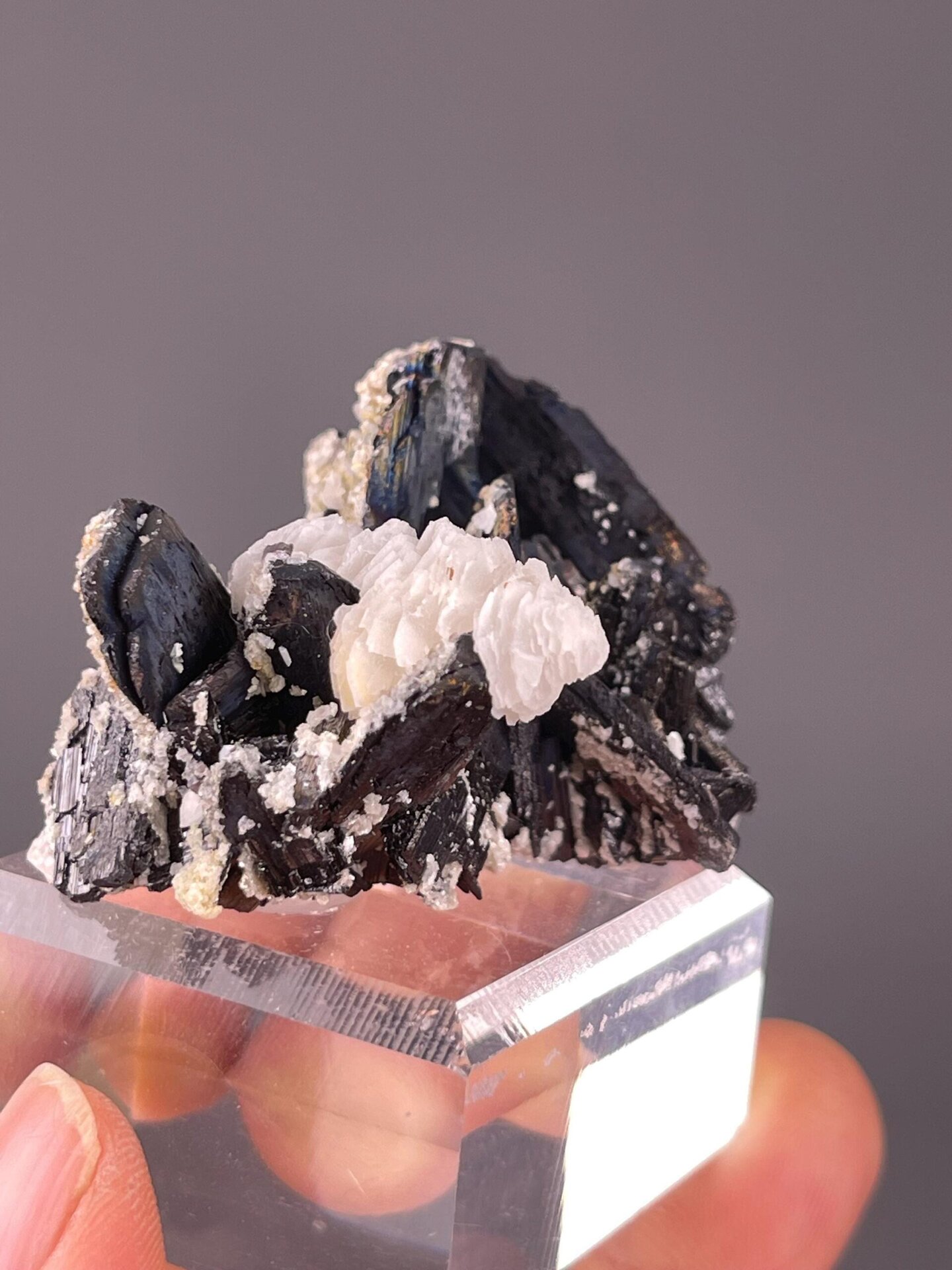Close-up of cassiterite SnO2 crystals on white calcite