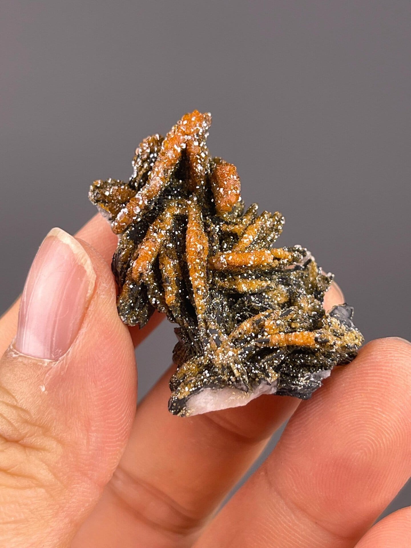 Classic Moroccan vanadinite locality specimen on matrix
