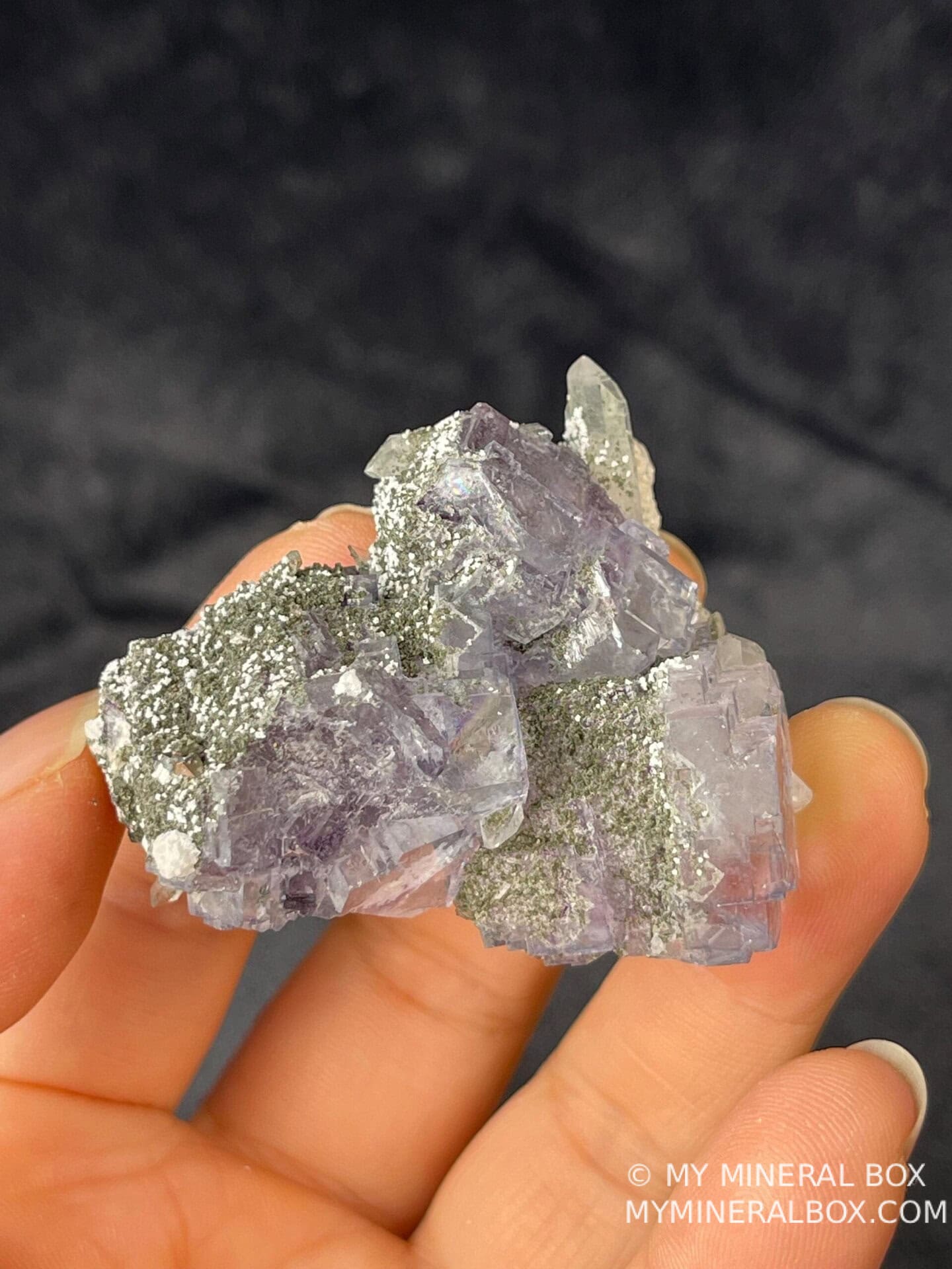 Delicate quartz growth beside purple window fluorite, YGX
