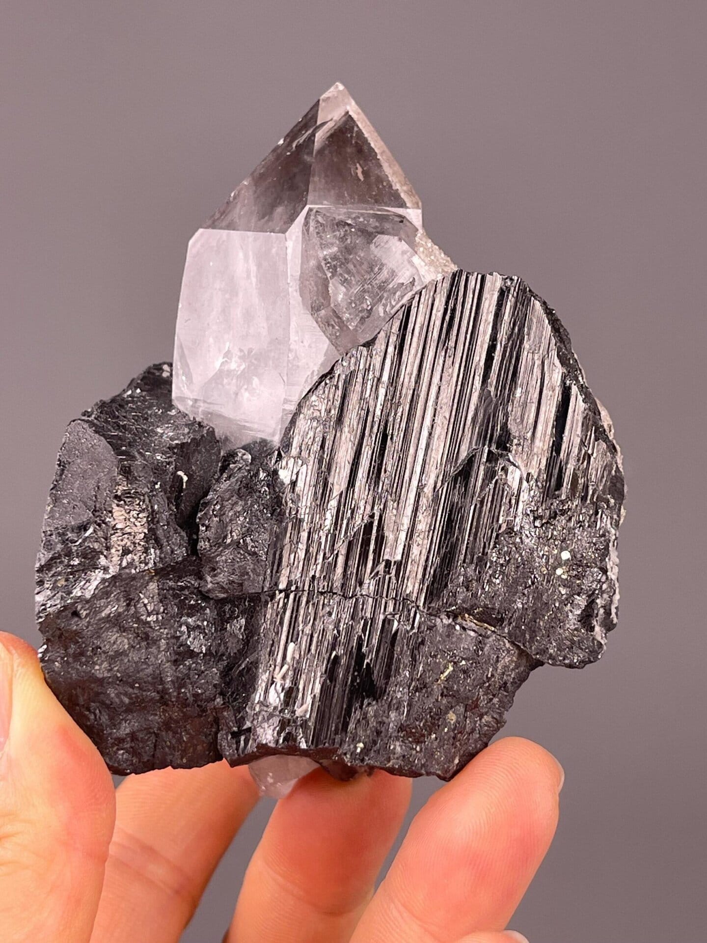 Close-up of cassiterite SnO2 dark crystals with clear quartz