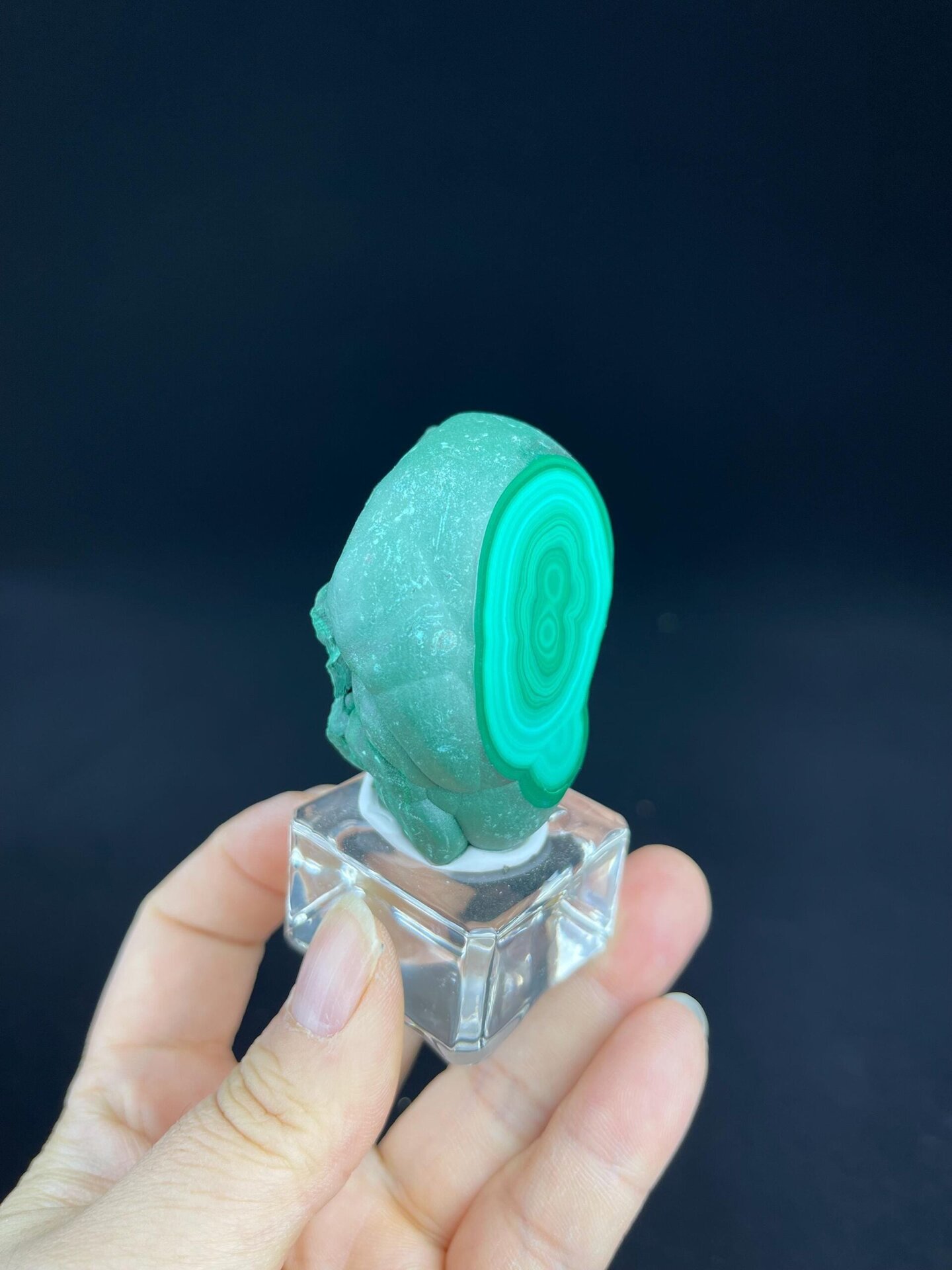 Polished malachite eye patterns beside raw botryoidal surface