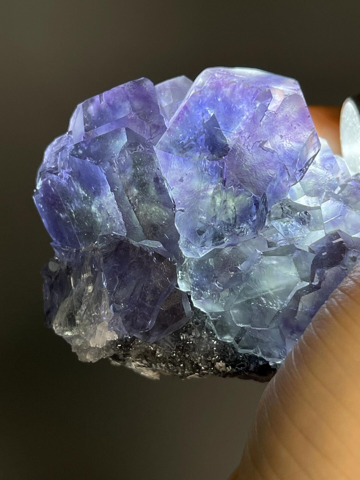 Translucent fluorite cubes with purple and green phantom zones