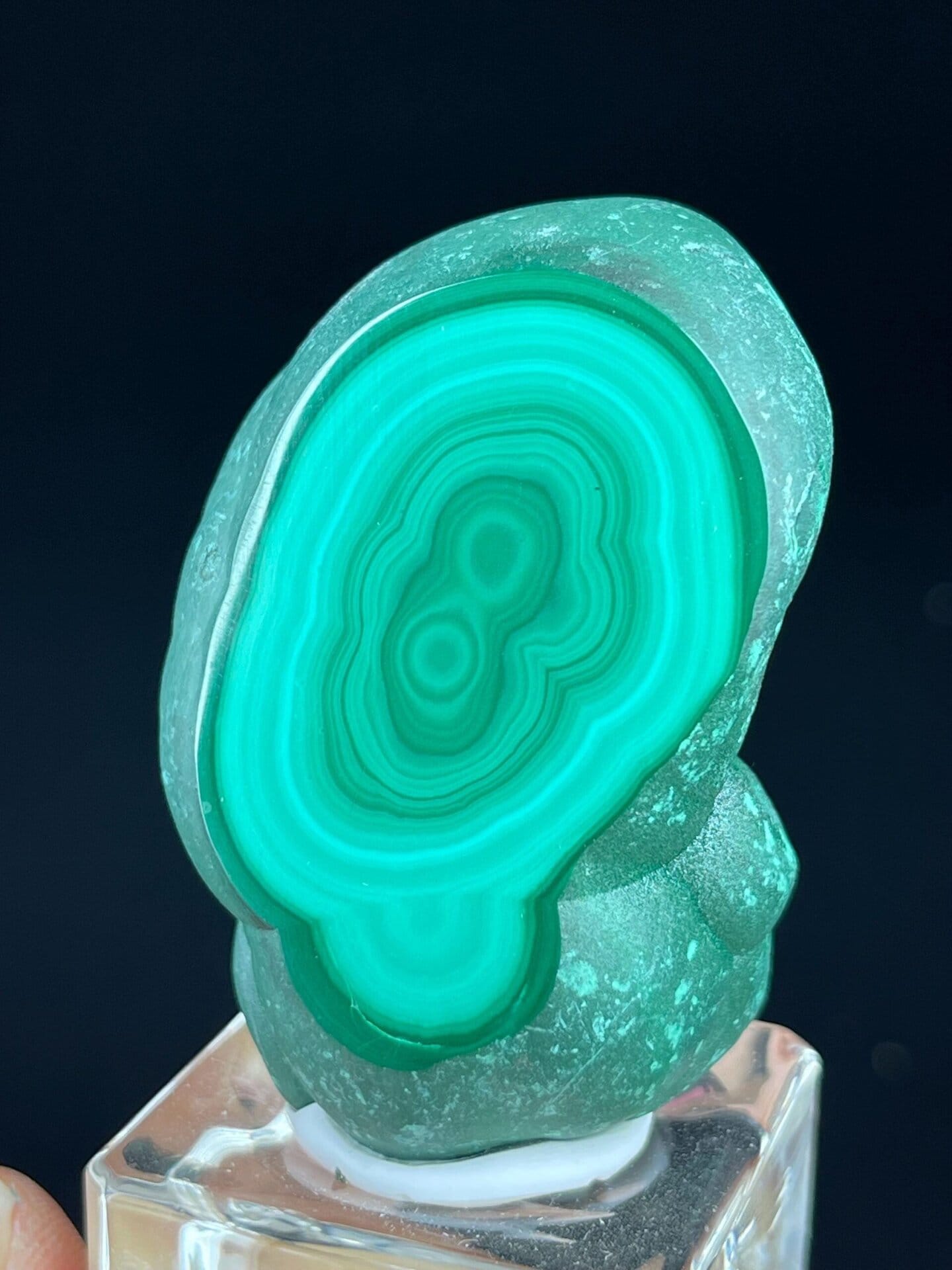 Close-up of deep green malachite eye patterns on polished face