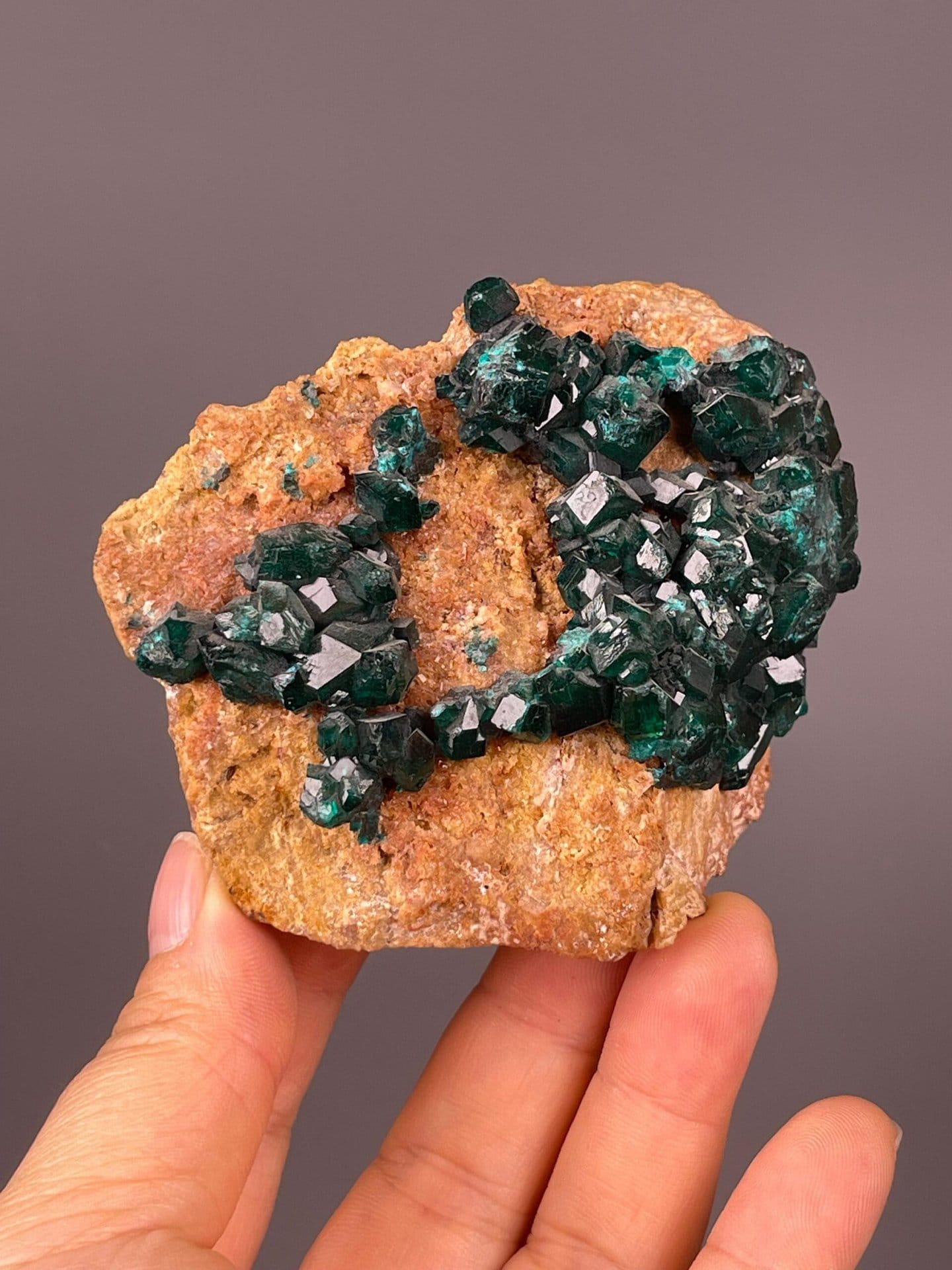 Dioptase emerald-green crystal cluster from Republic of Congo
