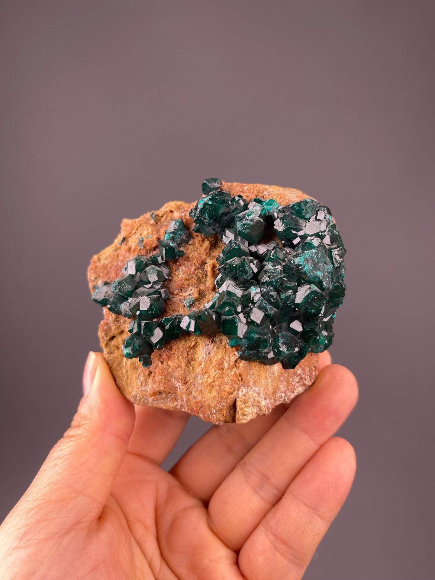 Rich emerald-green dioptase crystals on natural host rock