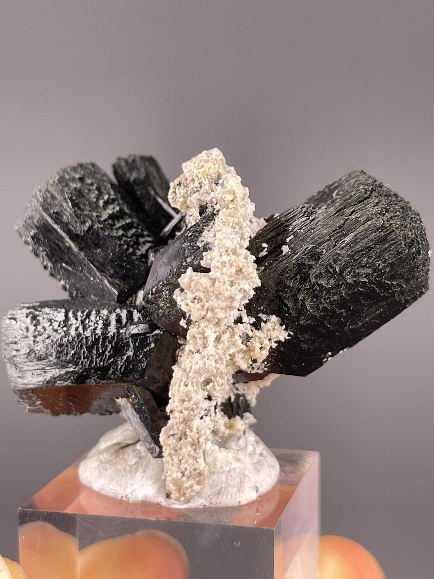 Side view of black tourmaline blades on matrix, Namibia