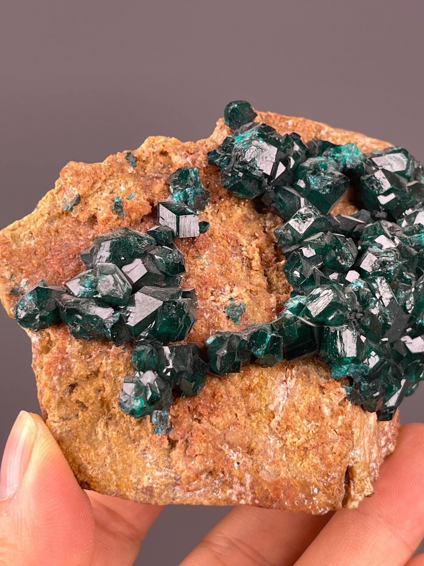 Dioptase CuSiO2OH2 trigonal emerald-green cluster