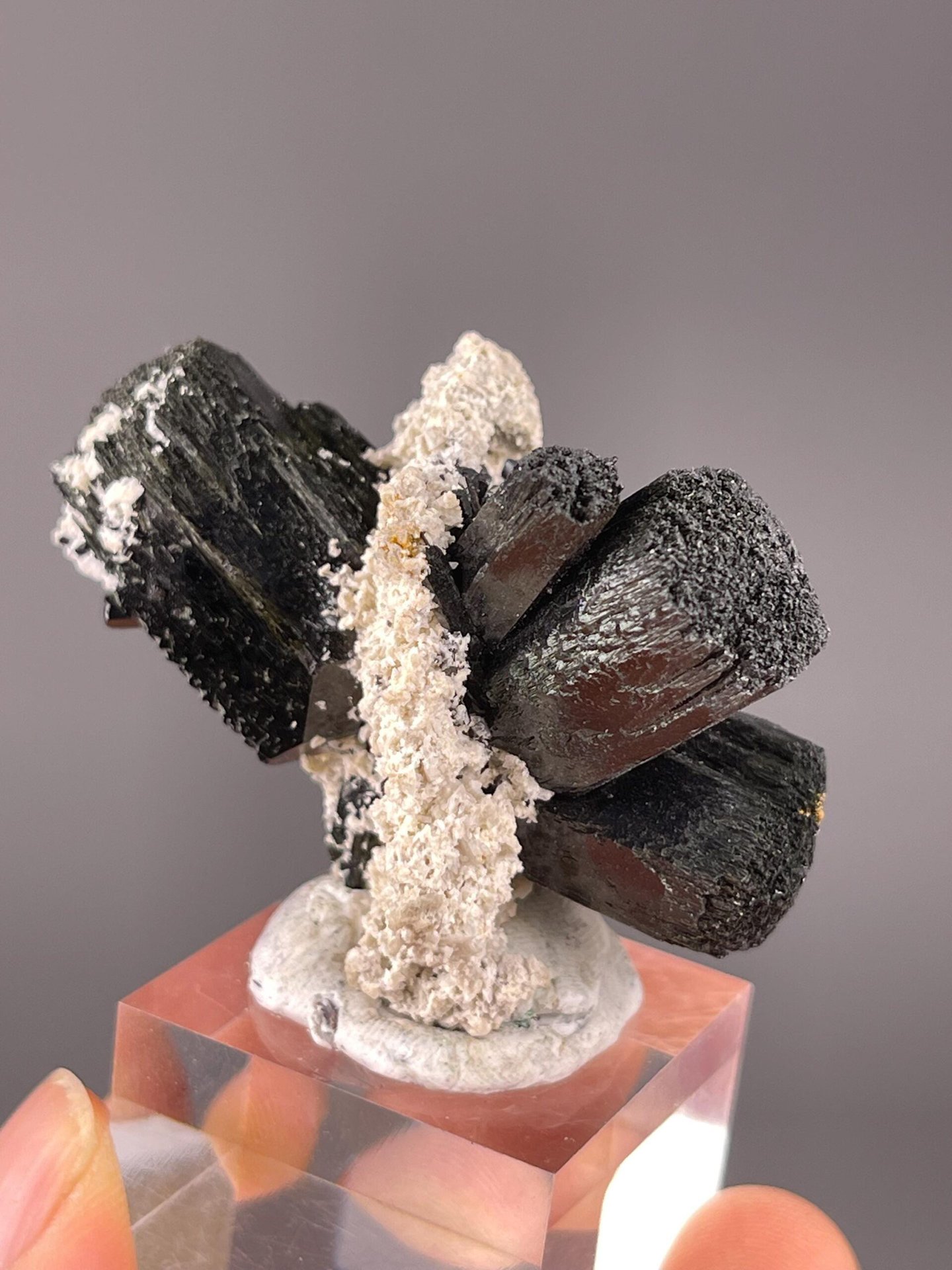 Sharp black tourmaline prisms on contrasting light matrix