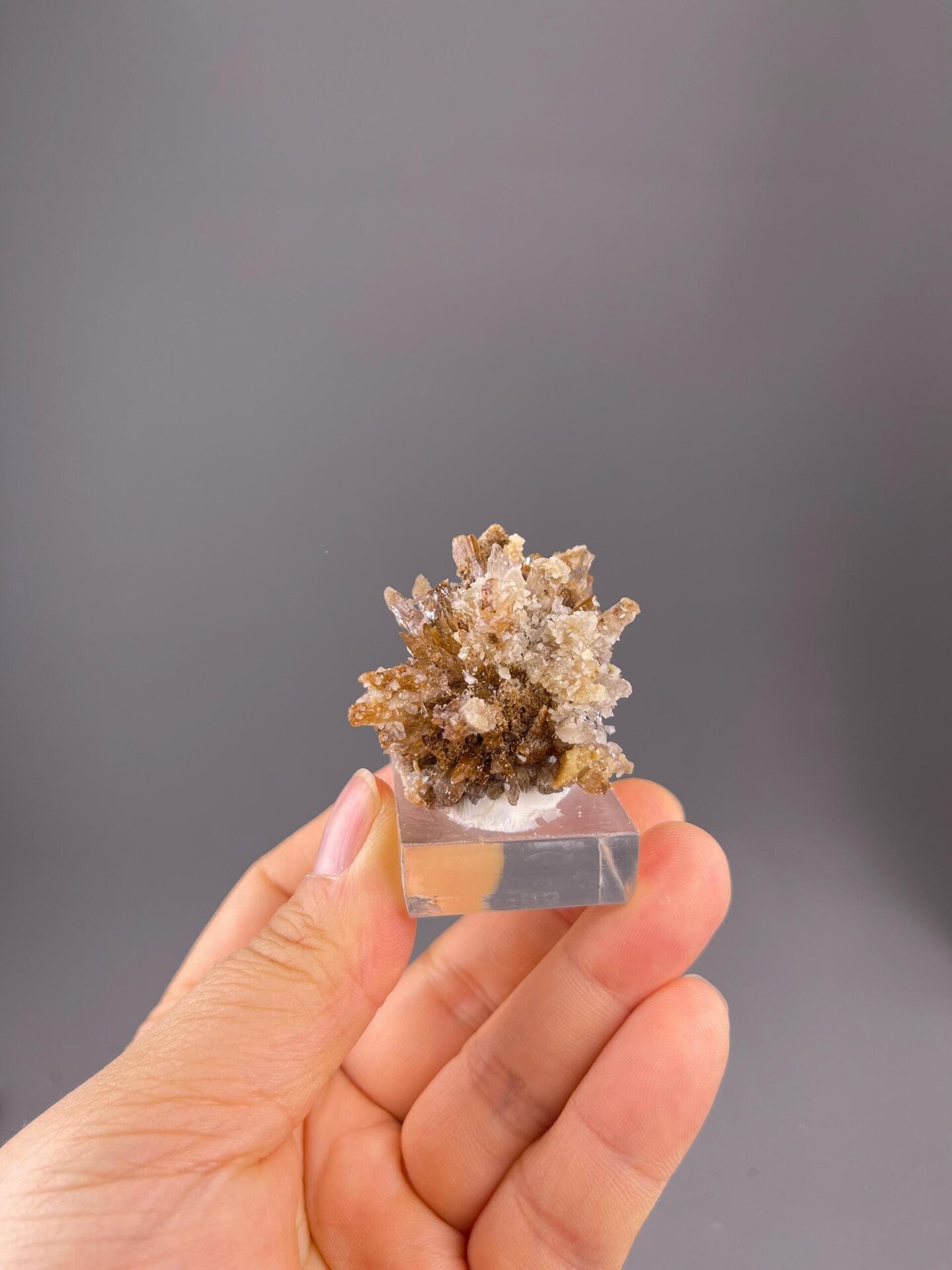 CaSO₄·2H₂O monoclinic gypsum with petal-like selenite crystal habit