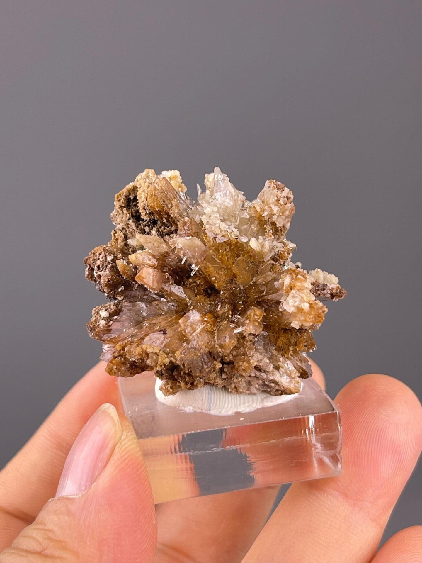 Gypsum flower specimen, 2.12 oz, vitreous to silky luster