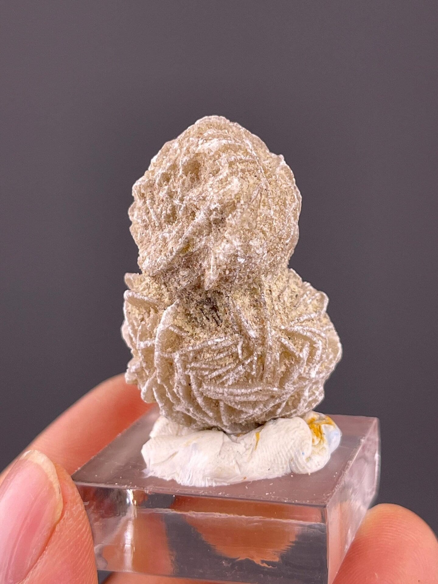 Two intergrown gypsum rosettes with sandy matrix inclusion