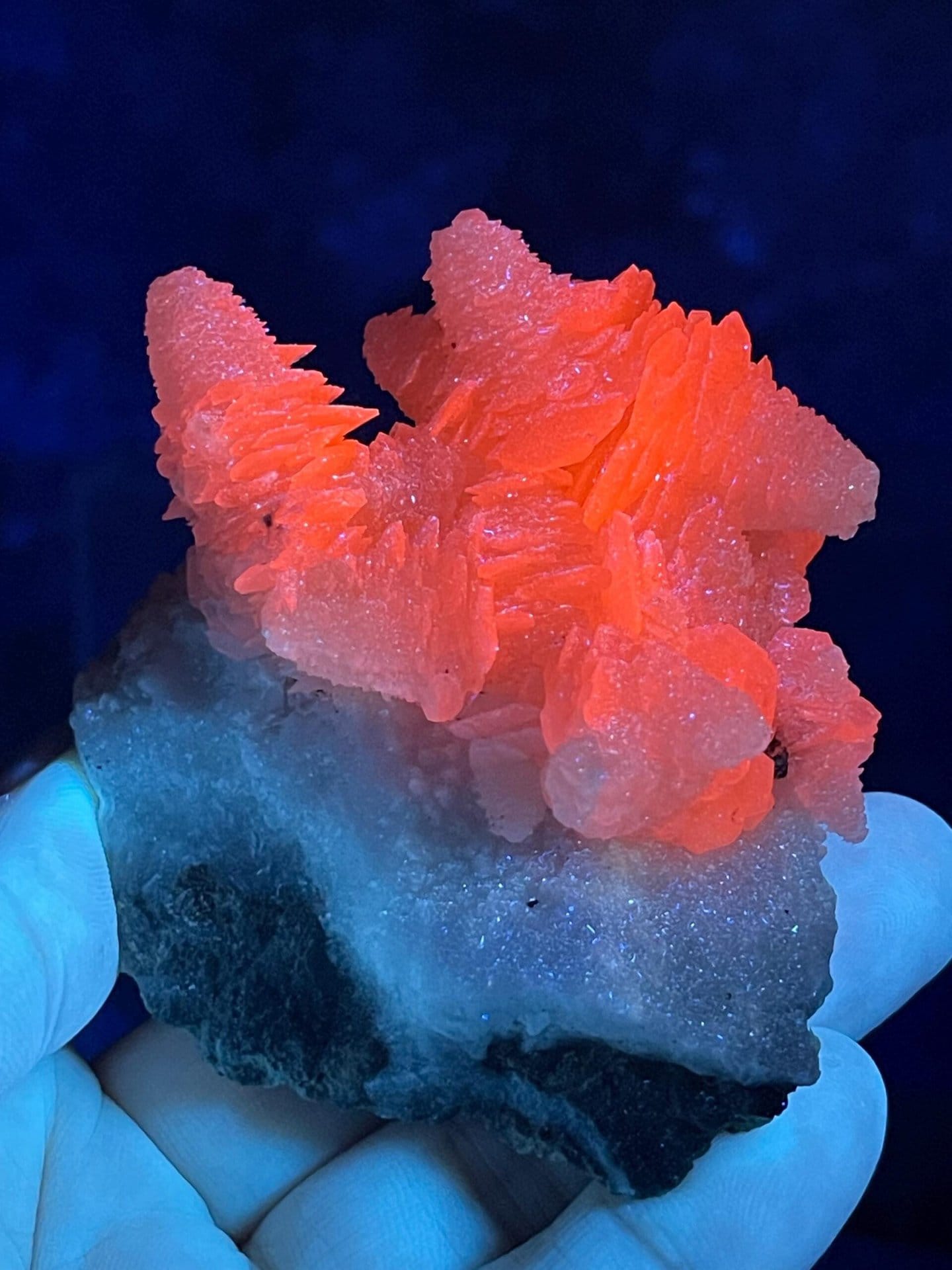 White crystalline calcite with UV-reactive fluorescence