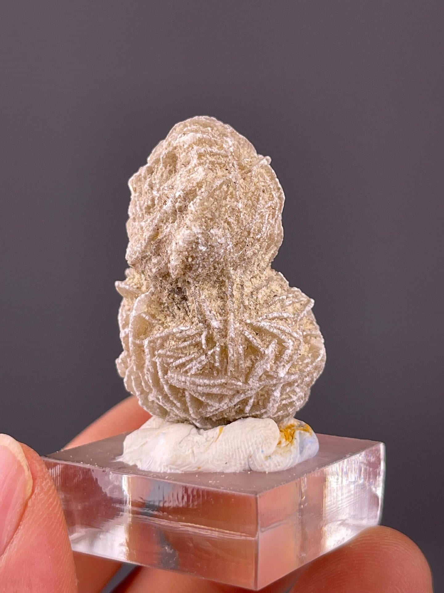 Desert rose gypsum with double-sphere growth form, Mexico