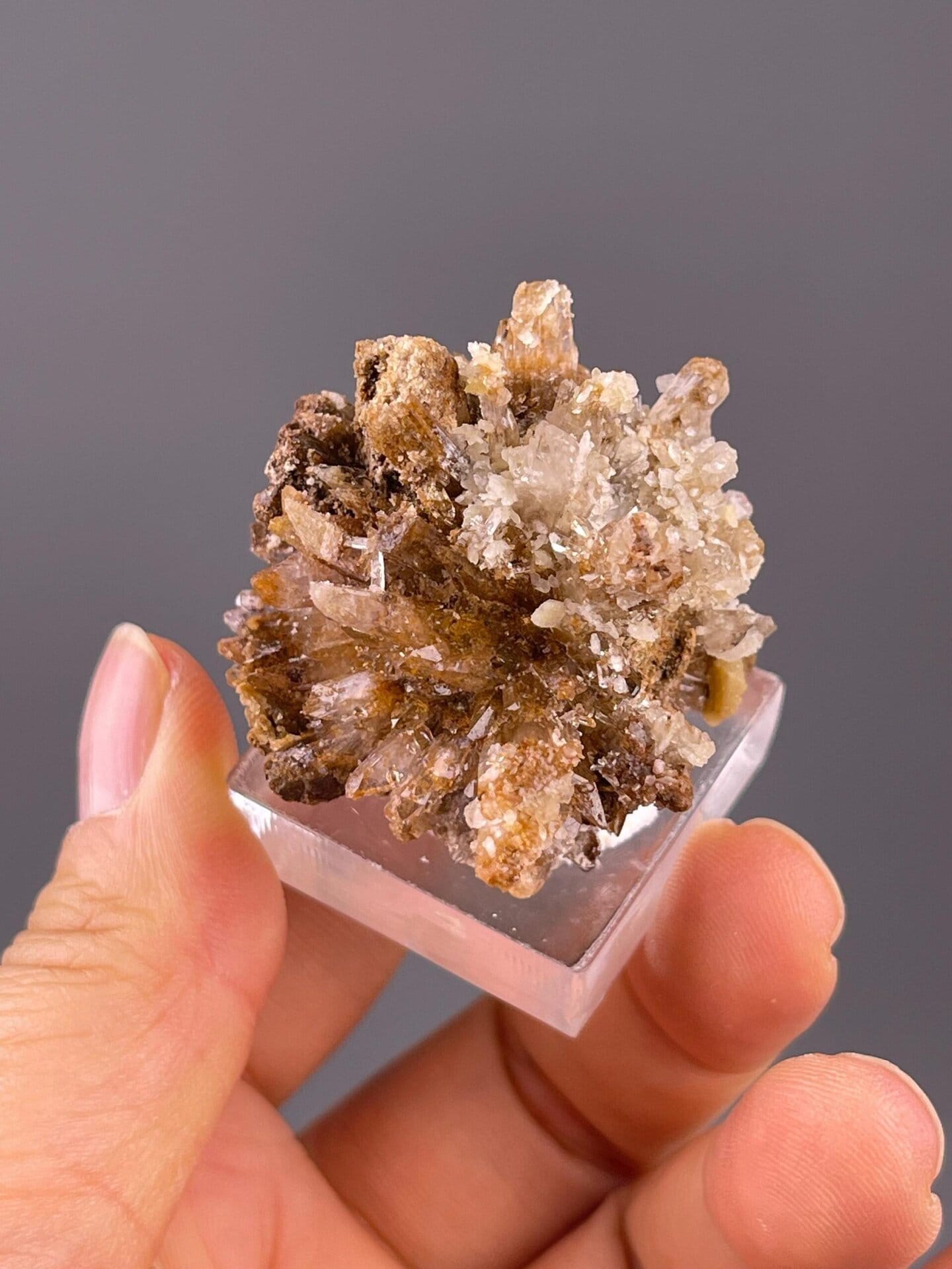 Natural gypsum flower with monoclinic crystal symmetry
