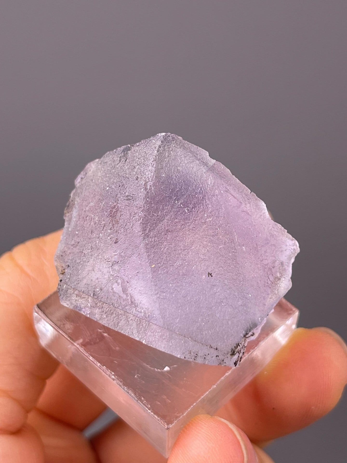 Octahedral CaF₂ fluorite with characteristic dissolution patterns