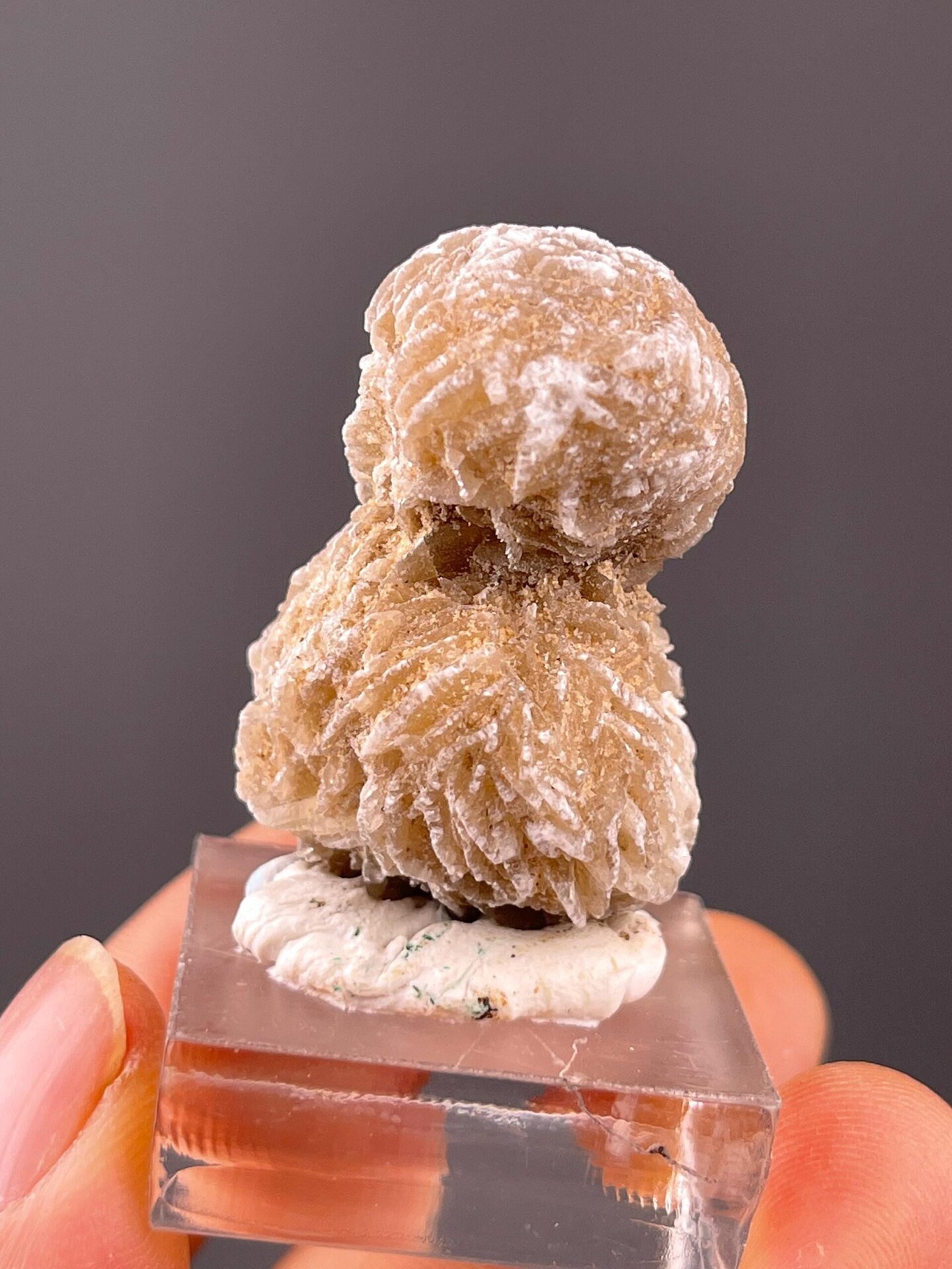 Sand-included gypsum with characteristic desert rose shape