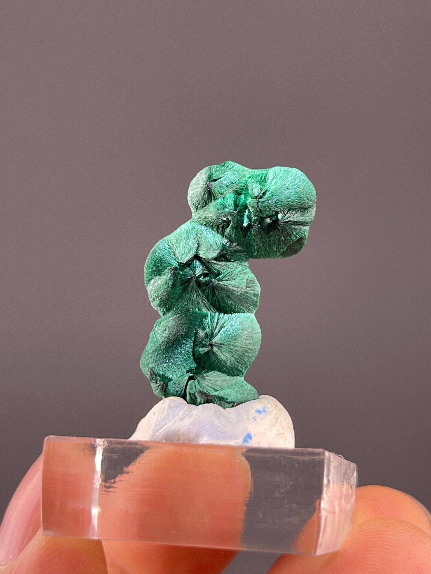 Green malachite with characteristic rounded botryoidal growths