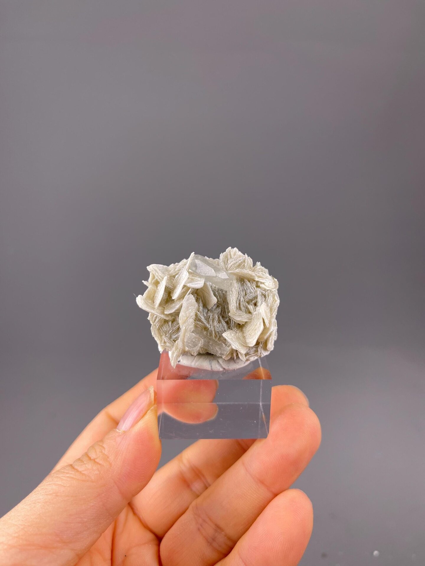 Close-up of aquamarine beryl crystal on mica matrix