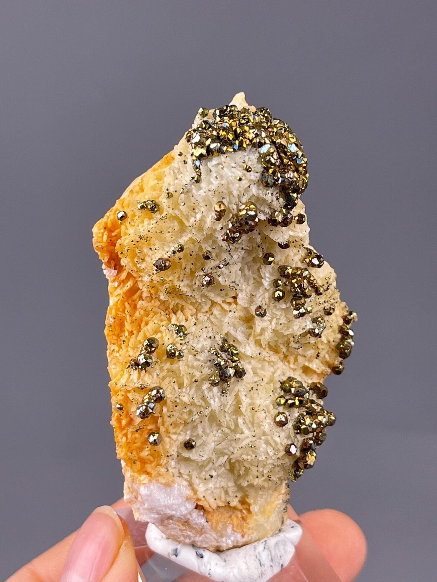 Top view of pyrite and chalcopyrite on matrix Hubei
