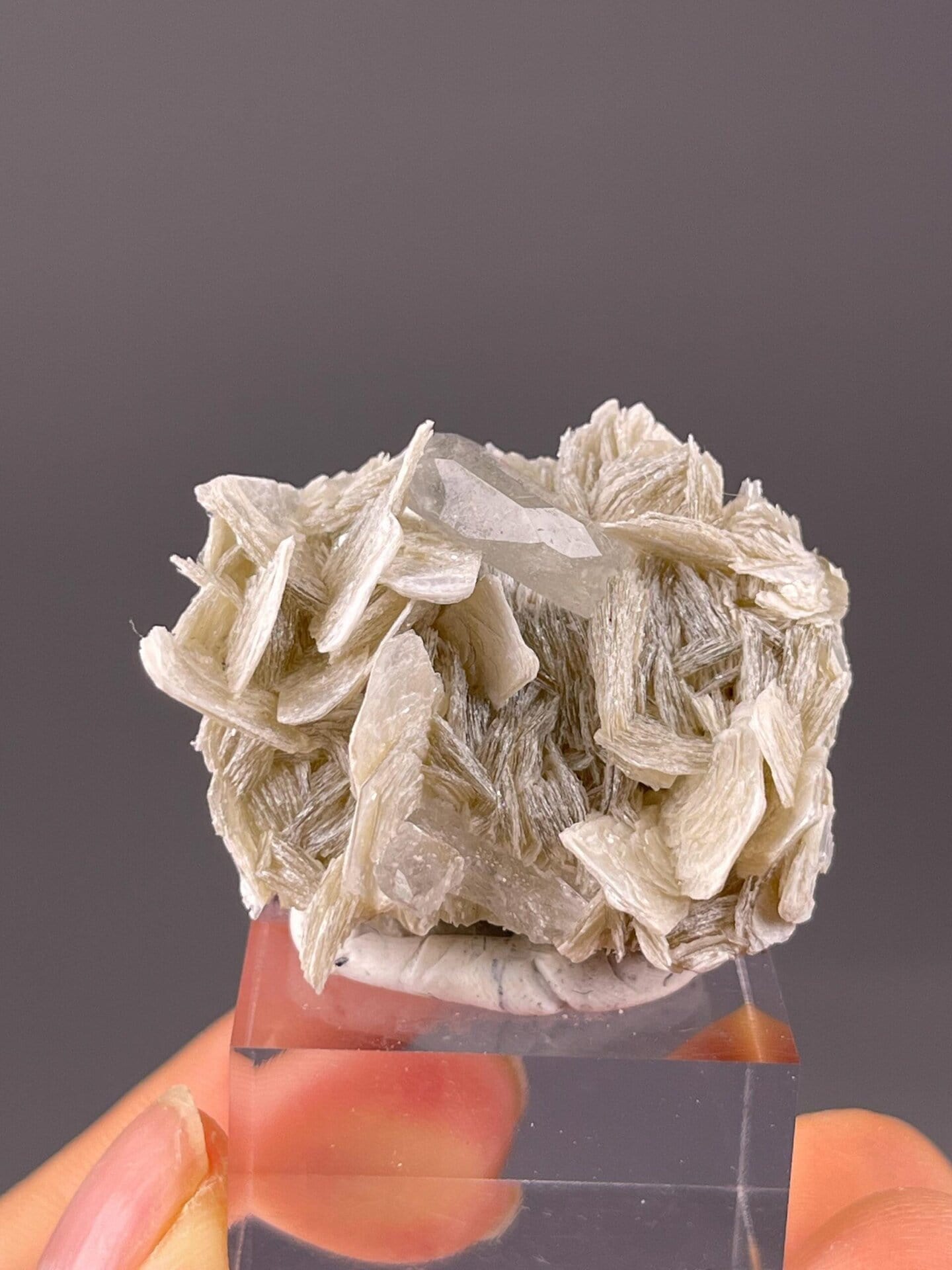 Top view of aquamarine beryl on mica Sichuan