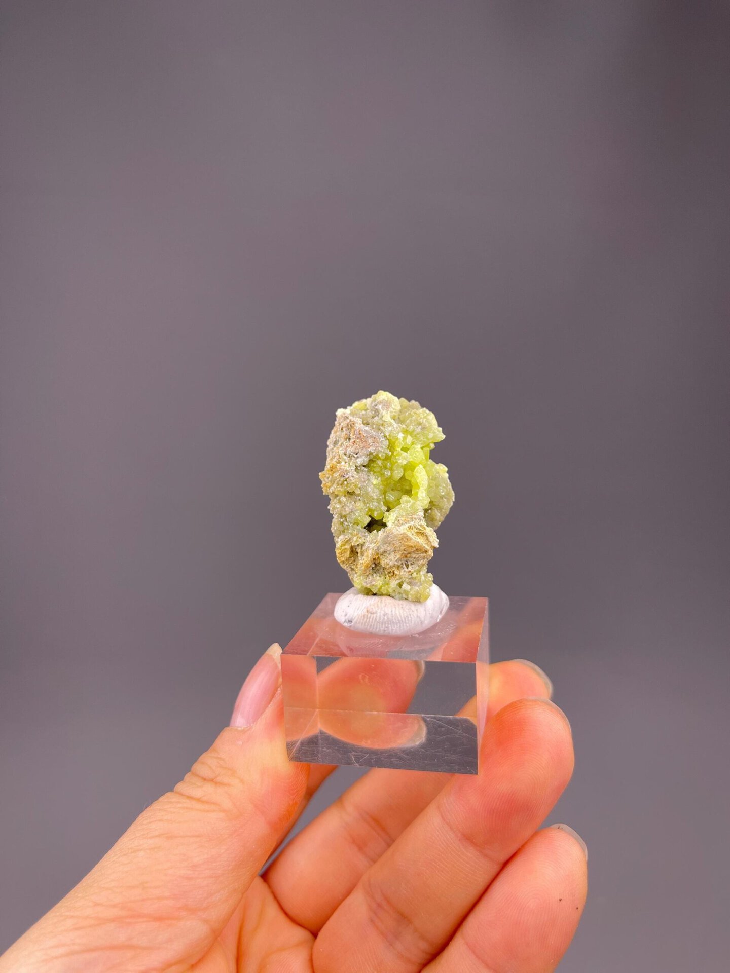 Close-up of barrel-shaped green pyromorphite crystals