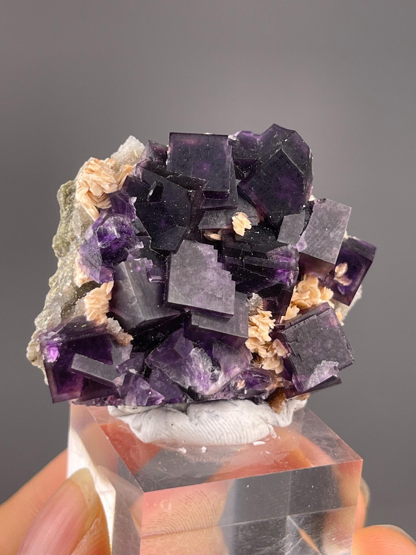 Close-up of purple fluorite cubic crystals on calcite
