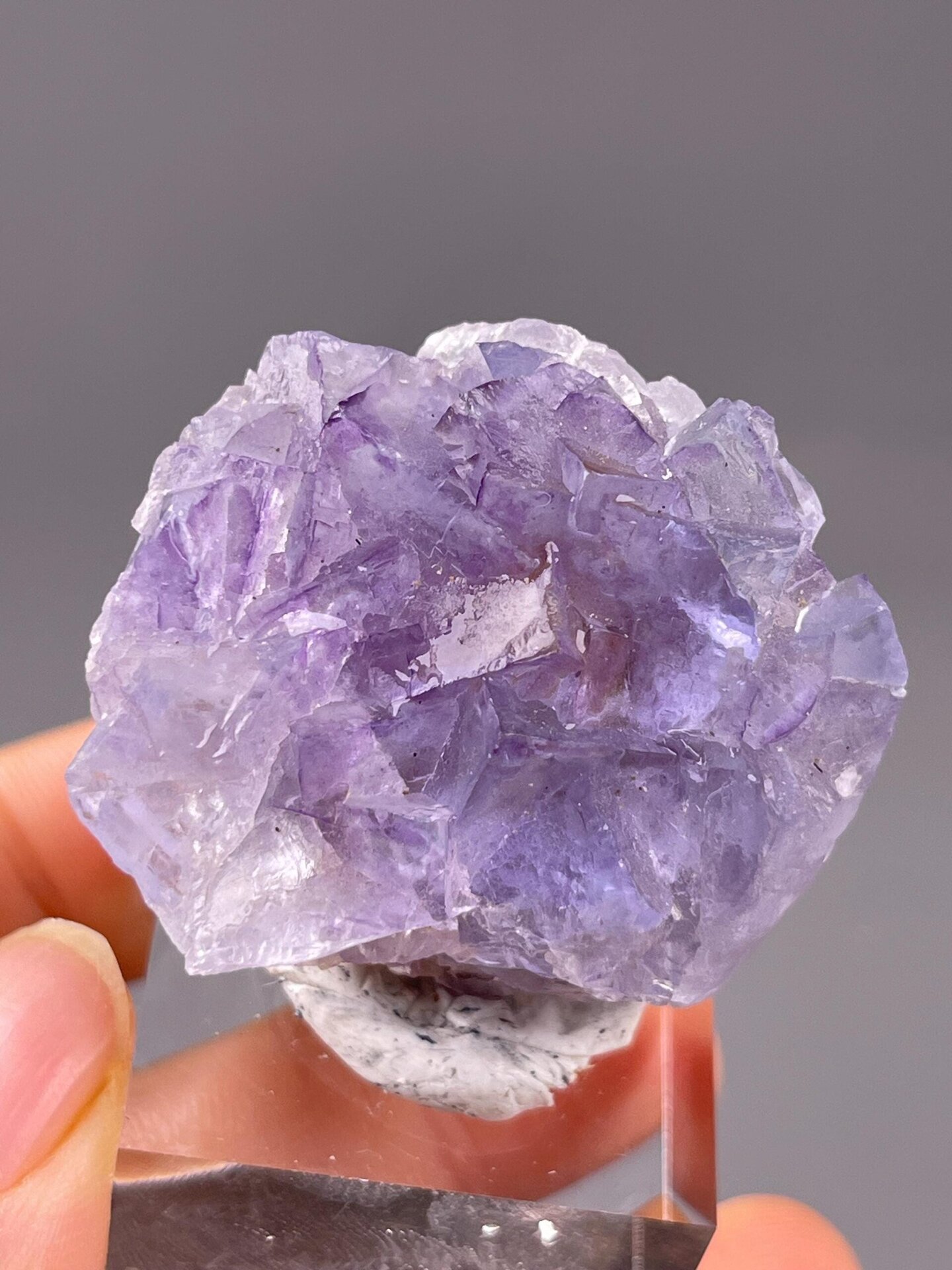 Full view of fluorite twin cluster on matrix